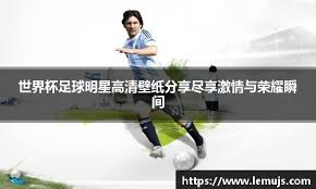 理性的舆
